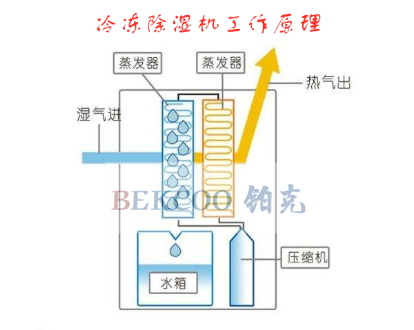 除濕機工作原理_副本.jpg 除濕機工作原理_副本.jpg